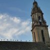 2020.08.29 CIGUEÑAS (6)